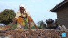 Nigerian nut ban slammed as shea madness